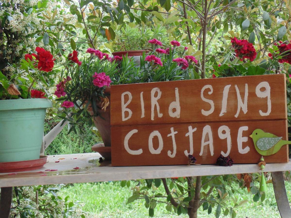 Birdsing Cottage Dassia (Corfu) Exterior foto